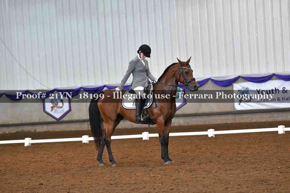 Proof Number 21YN_18199