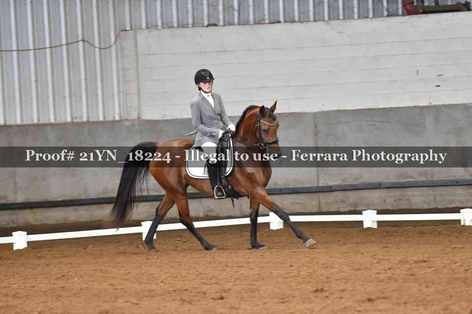 Proof Number 21YN_18224