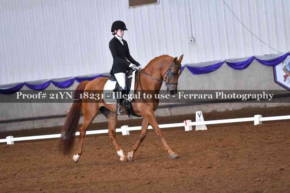 Proof Number 21YN_18231