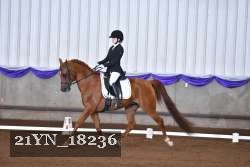 21YN_18236 thumbnail