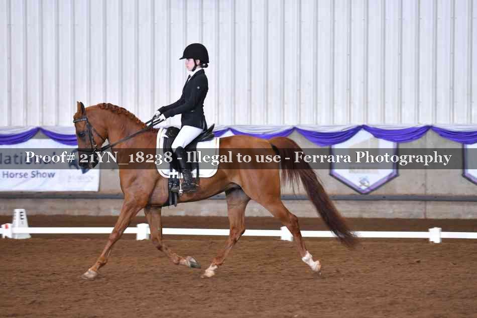 Proof Number 21YN_18238