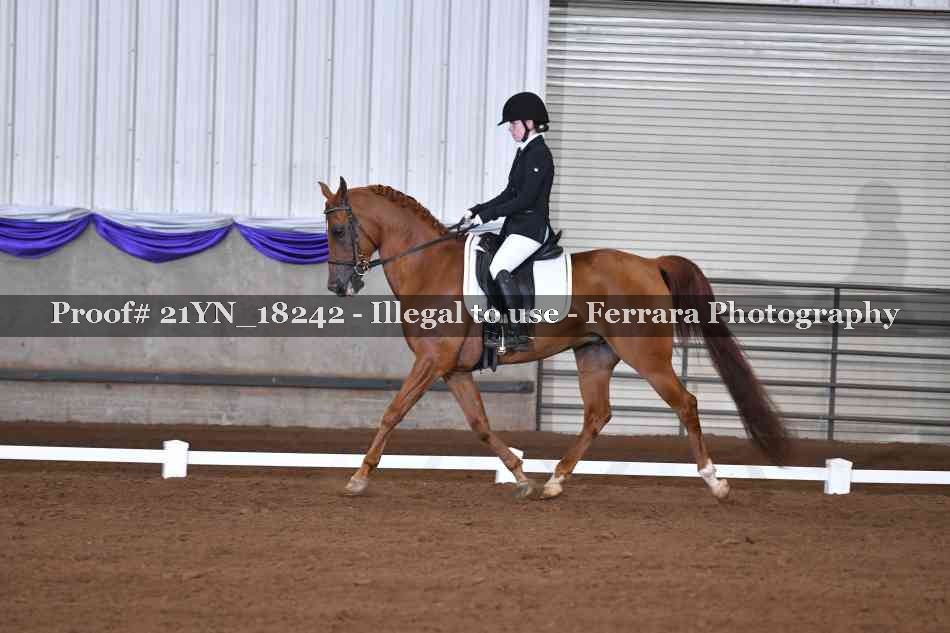 Proof Number 21YN_18242