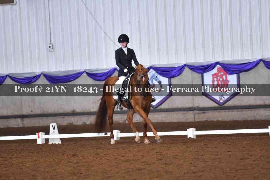 Proof Number 21YN_18243