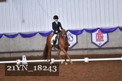 21YN_18243 thumbnail