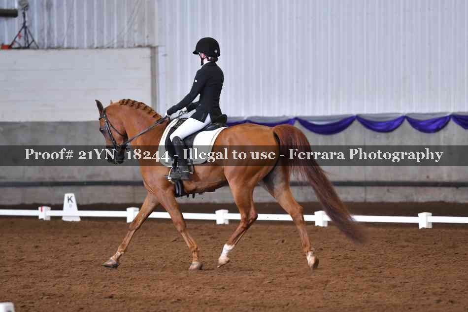 Proof Number 21YN_18244