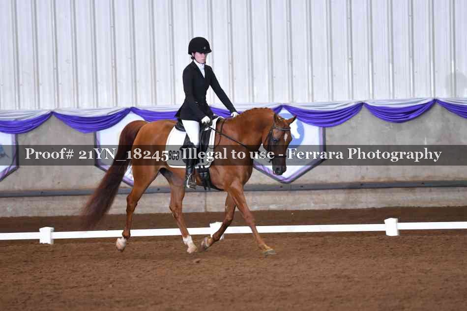 Proof Number 21YN_18245