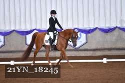 21YN_18245 thumbnail
