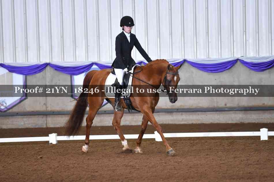 Proof Number 21YN_18246
