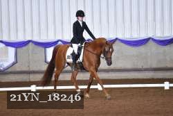 21YN_18246 thumbnail