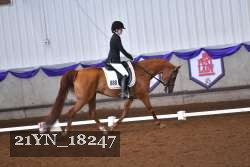 21YN_18247 thumbnail