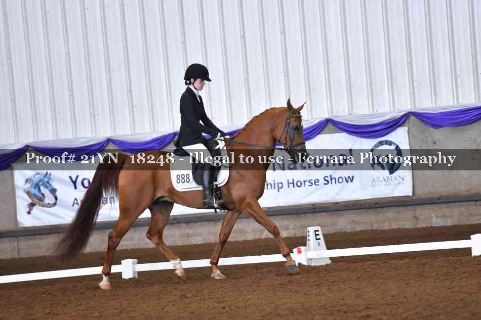 Proof Number 21YN_18248