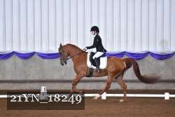 21YN_18249 thumbnail