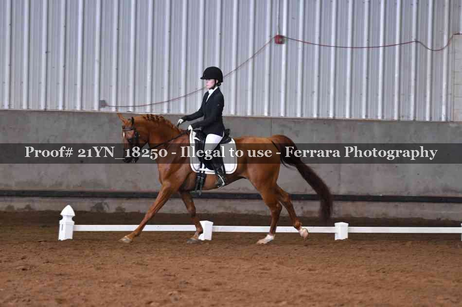Proof Number 21YN_18250