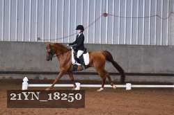 21YN_18250 thumbnail