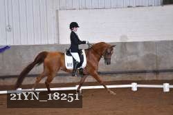 21YN_18251 thumbnail