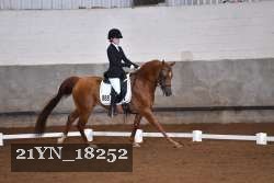 21YN_18252 thumbnail