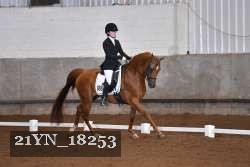 21YN_18253 thumbnail