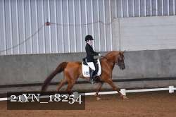 21YN_18254 thumbnail