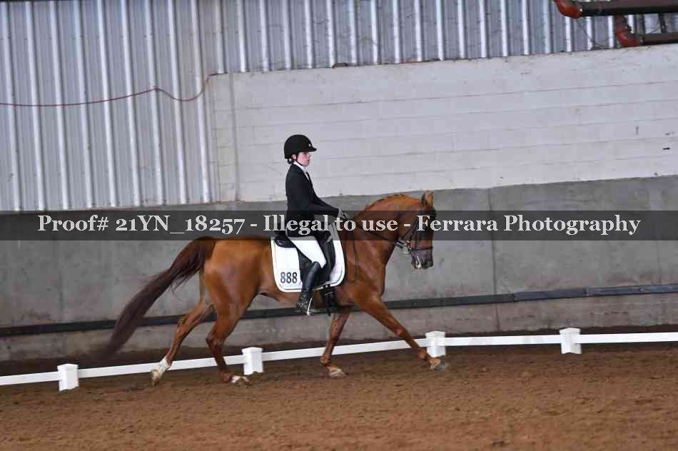 Proof Number 21YN_18257