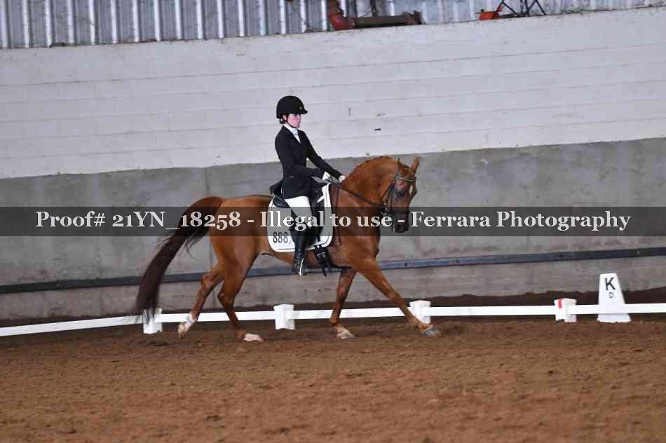 Proof Number 21YN_18258