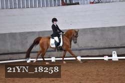 21YN_18258 thumbnail