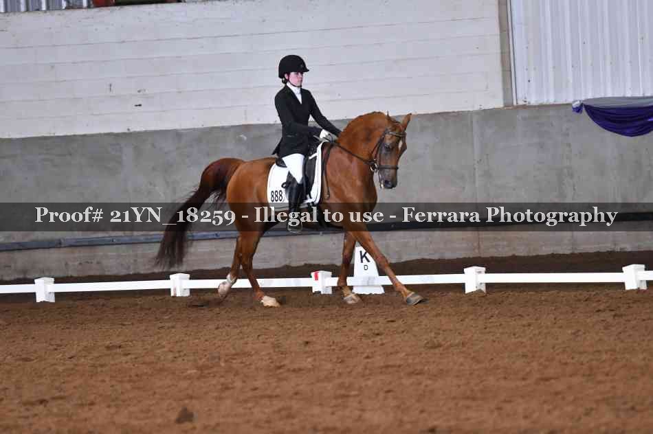 Proof Number 21YN_18259