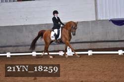 21YN_18259 thumbnail