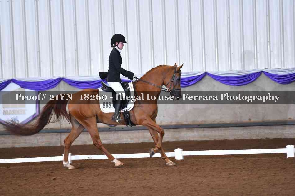 Proof Number 21YN_18260