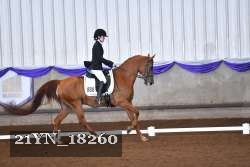 21YN_18260 thumbnail