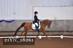 21YN_18261 thumbnail