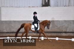 21YN_18262 thumbnail