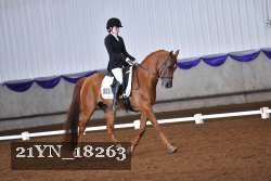 21YN_18263 thumbnail