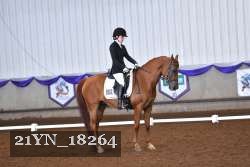21YN_18264 thumbnail