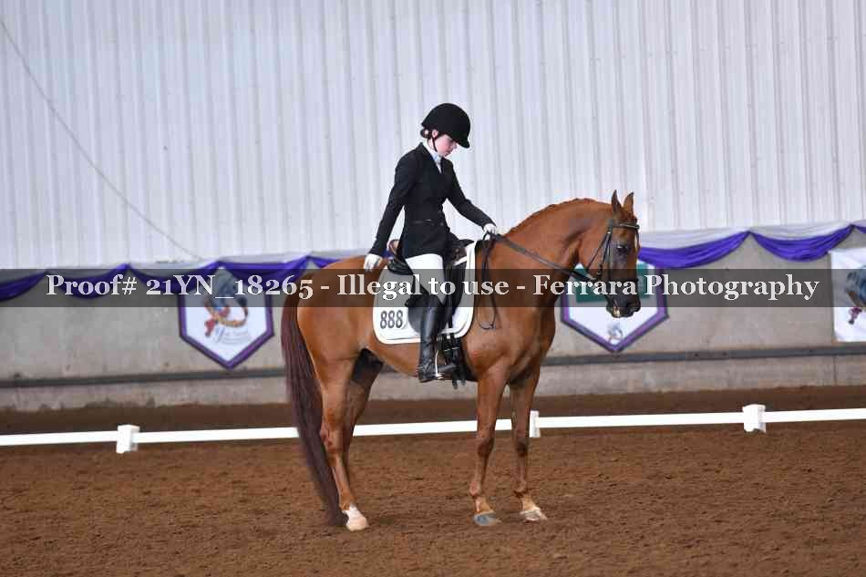 Proof Number 21YN_18265