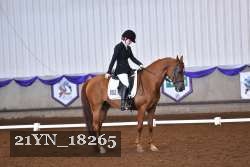 21YN_18265 thumbnail