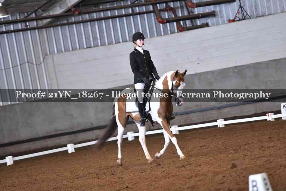 Proof Number 21YN_18267