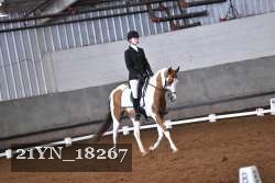 21YN_18267 thumbnail