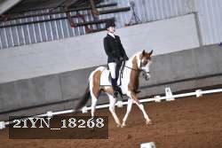 21YN_18268 thumbnail
