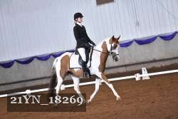 21YN_18269 thumbnail