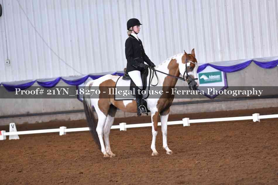 Proof Number 21YN_18270