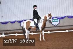 21YN_18270 thumbnail