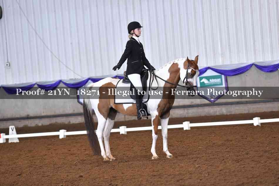 Proof Number 21YN_18271