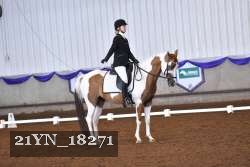 21YN_18271 thumbnail
