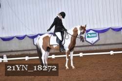 21YN_18272 thumbnail