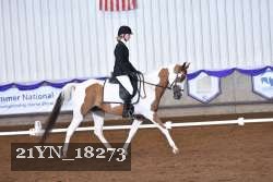 21YN_18273 thumbnail
