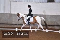 21YN_18274 thumbnail