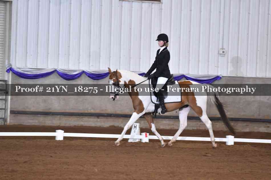 Proof Number 21YN_18275