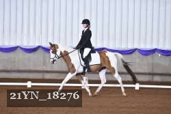 21YN_18276 thumbnail