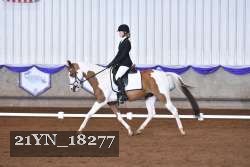 21YN_18277 thumbnail
