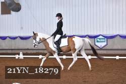 21YN_18279 thumbnail
